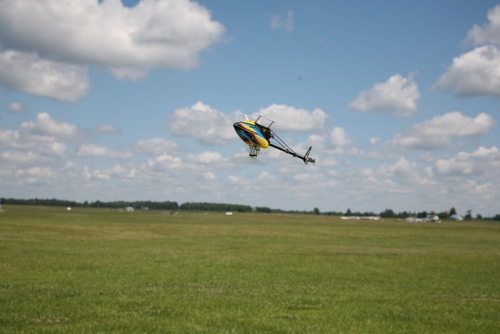 Trex 250 Plus.jpg