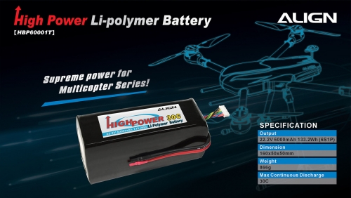 HBP60001T Battery DM2.jpg