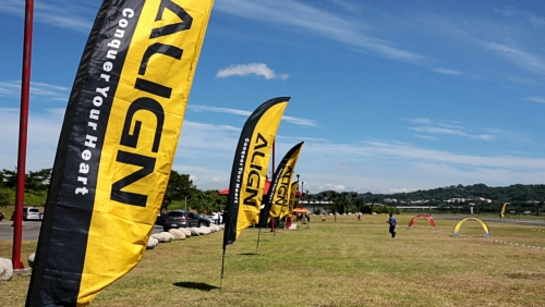 ALIGN11.jpg