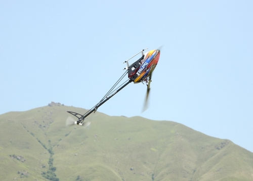 IMG_95600.jpg