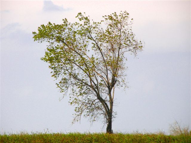 PA141614.JPG