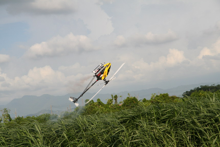 IMG_9843.jpg