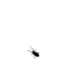 wu.gif