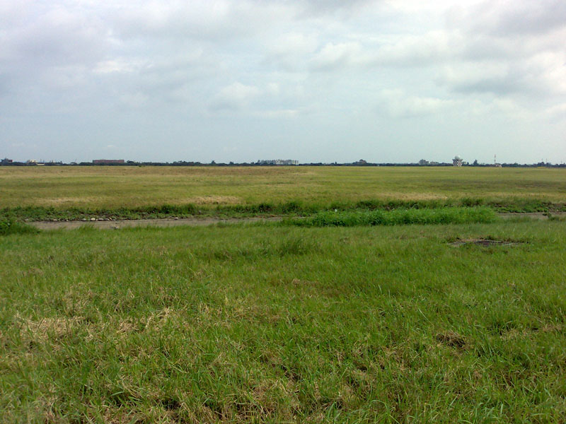 20100701806.jpg