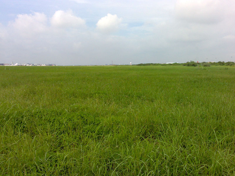 20100701818.jpg