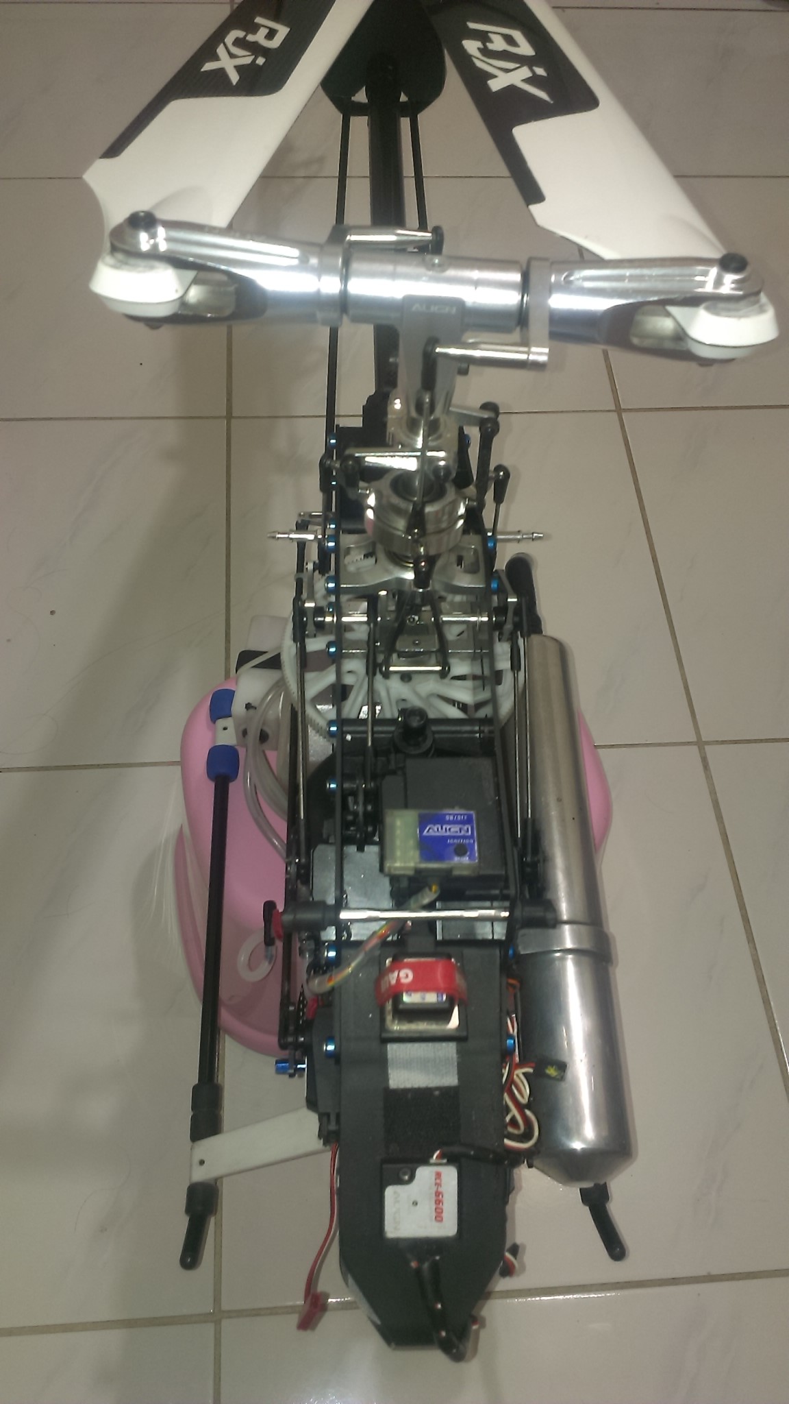 IMAG0467.jpg