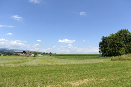2015-07-01 14.41.01.jpg