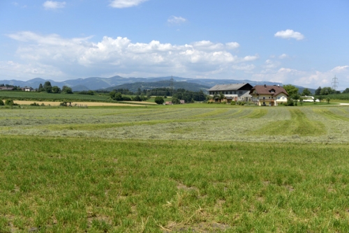 2015-07-01 14.42.16.jpg