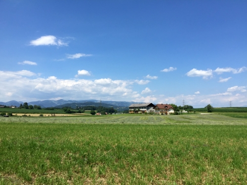 2015-07-01 14.48.13.jpg