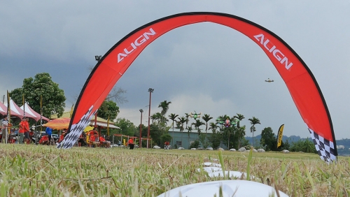 ALIGN16.jpg