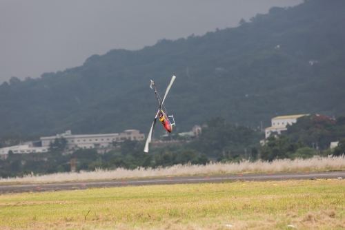8H6A4390.jpg