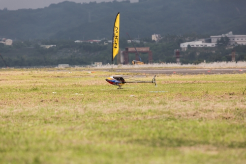 8H6A4385.jpg