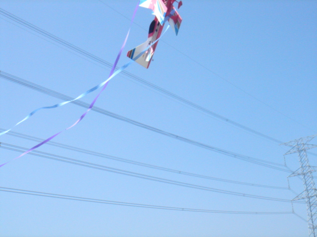 DSC02405.JPG