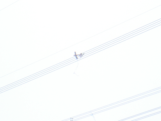 DSC02406.JPG