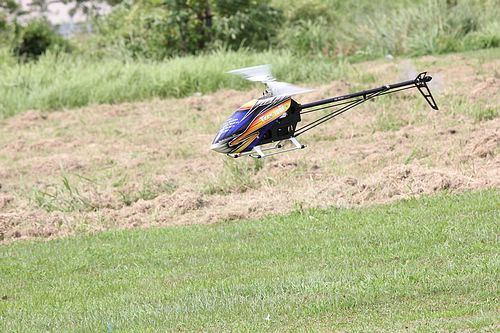 IMG_2235_nEO_IMG.jpg