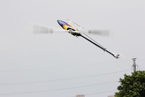 IMG_2182_nEO_IMG.jpg