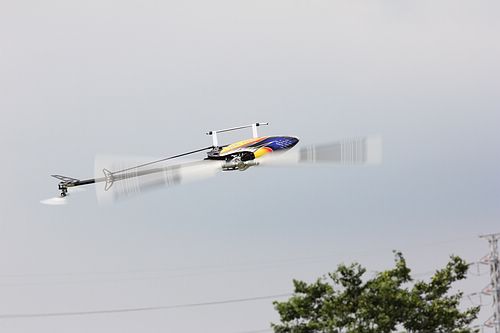 IMG_2237_nEO_IMG.jpg