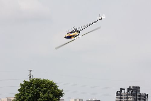 IMG_2241_nEO_IMG.jpg