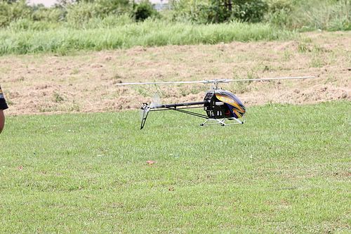 IMG_2230_nEO_IMG.jpg