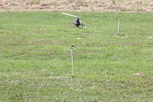 IMG_2219_nEO_IMG.jpg