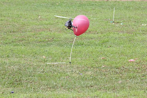 IMG_2218_nEO_IMG.jpg