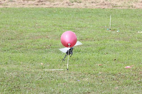 IMG_2217_nEO_IMG.jpg