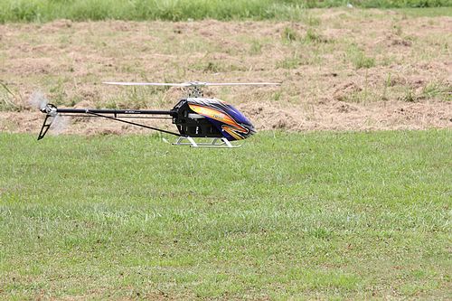 IMG_2156_nEO_IMG.jpg